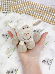 Lamb Soft Toy